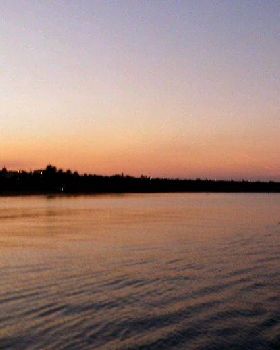 paddle1