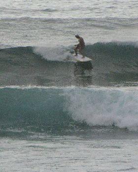Sharkies 022