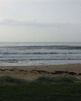 Sharkies 027