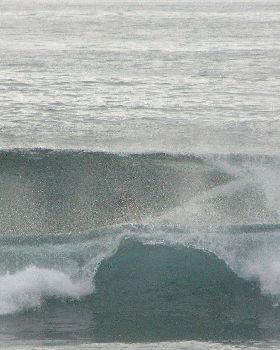 Sharkies 038