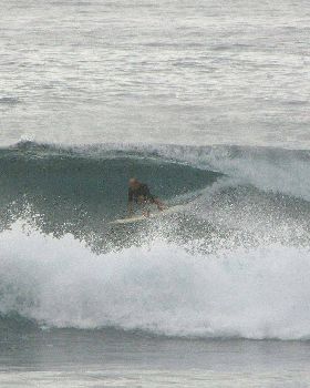 Sharkies 039
