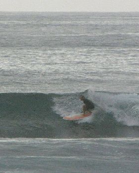 Sharkies 046
