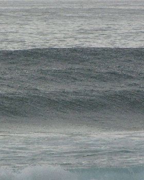 Sharkies 031
