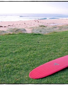 Sharkies 016