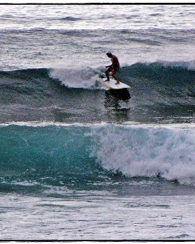 Sharkies 022