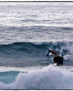 Sharkies 024