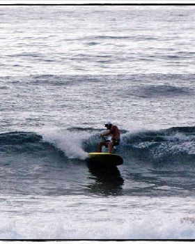 Sharkies 026