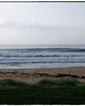 Sharkies 027