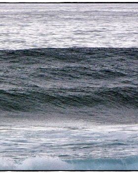 Sharkies 031