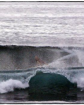 Sharkies 038