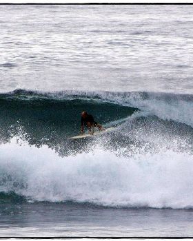 Sharkies 039