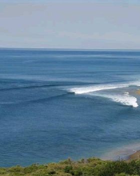 JARROD 037 (Small)