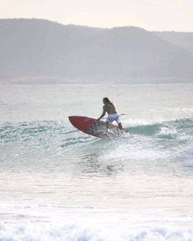 Palmy 3rd April 2010