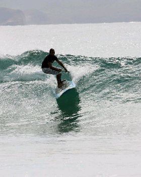 Palmy 3rd April 2010