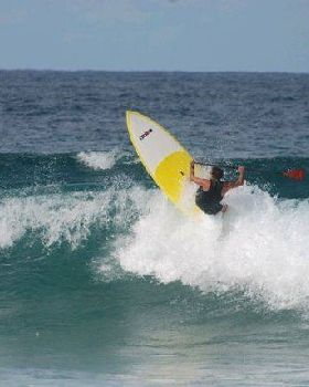 Onshore Palmy