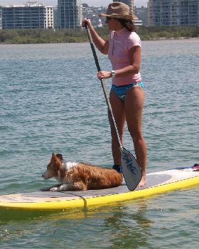 supdog2