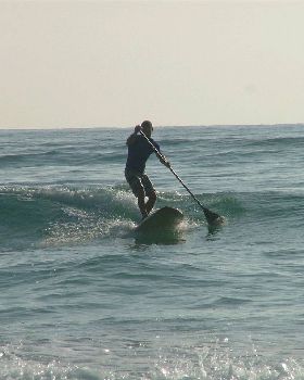 sup comp April 10 ,2010 012