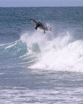 Pat Curren