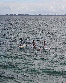 Stand Up Paddle