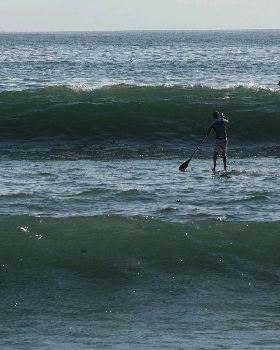 Stand Up Paddle