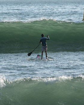 Stand Up Paddle