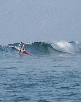 Stand Up Paddle