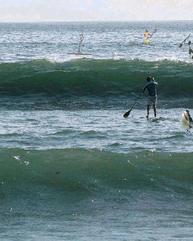Stand Up Paddle