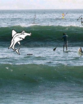 Stand Up Paddle