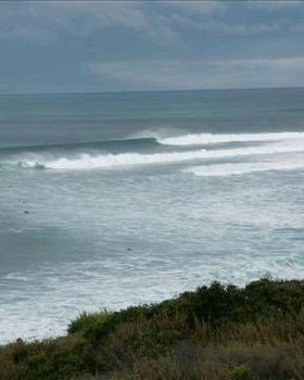DSC01442 (Small)