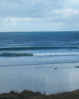 pictures Tarwharanui May 1st 2010 002