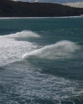 PT ADDIS 007 (Small)