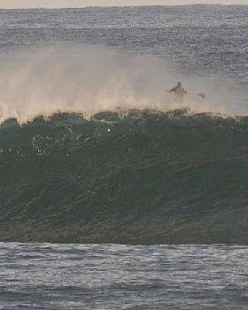 TC longy bombie