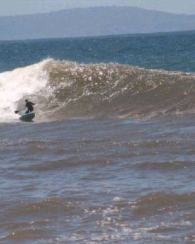 Stand Up Paddle