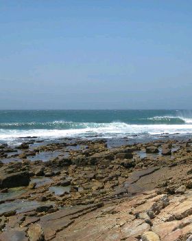 sarods 069 1 1
