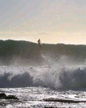 Stand Up Paddle