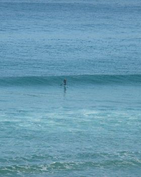 Stand Up Paddle