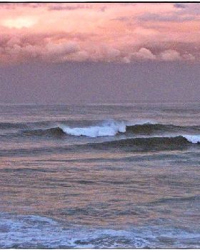 Coal Coast ECL Swell 039