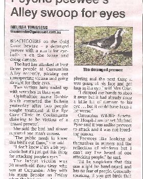 bird 3