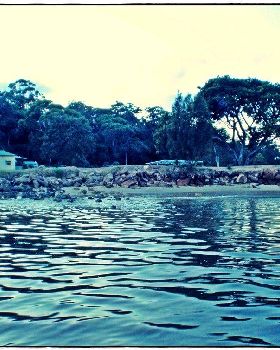 Bay Paddle 003