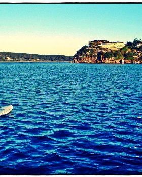 Bay Paddle 007