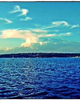 Bay Paddle 009