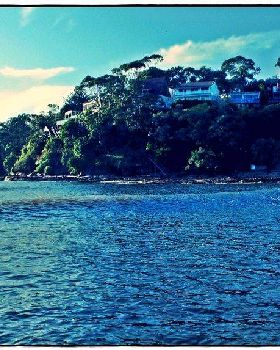 Bay Paddle 020