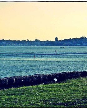 Bay Paddle 024