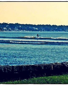 Bay Paddle 026