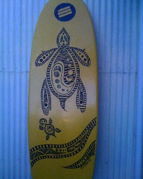 Stand Up Paddle