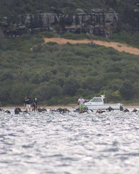 Paddle for Pete