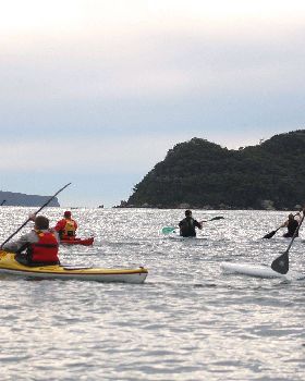 Paddle for Pete