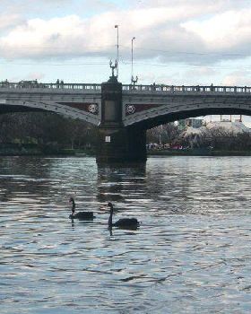 Yarra