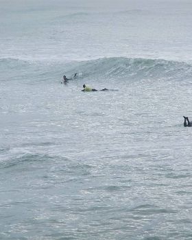 sumner 001