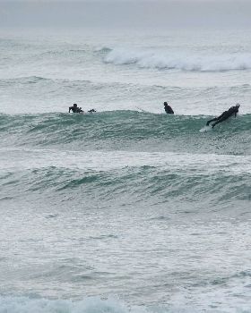 sumner 017